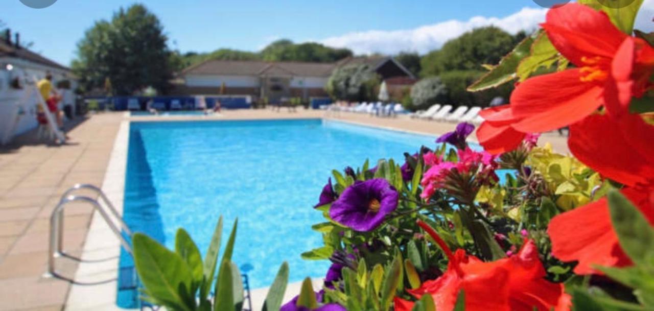 Jungle Lodge Lymington Esterno foto